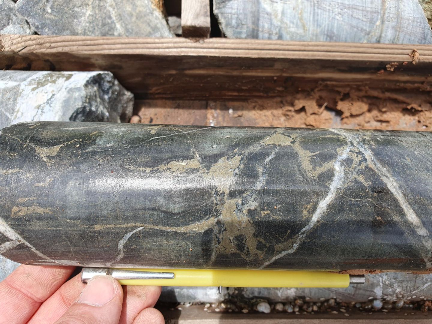Sulphide mineralised drill core. Hole RKN800, Mushima North Project