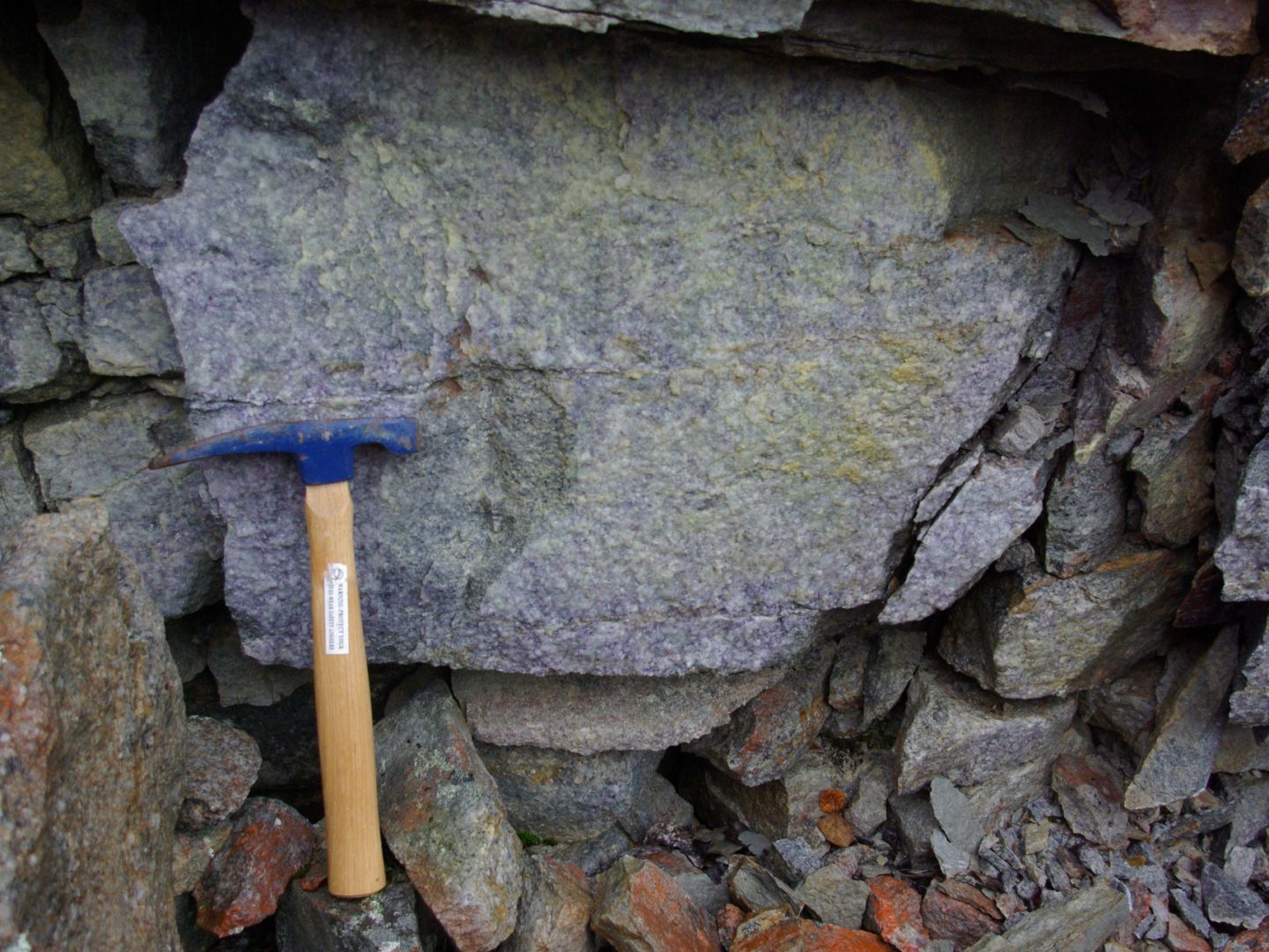 Mineralisation in Close up